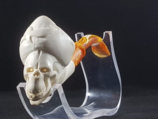 Hand Carved Pirate Skull Bent Stem Meerschaum Pipe, Block Meerschaum, Unsmoked Meerschaum