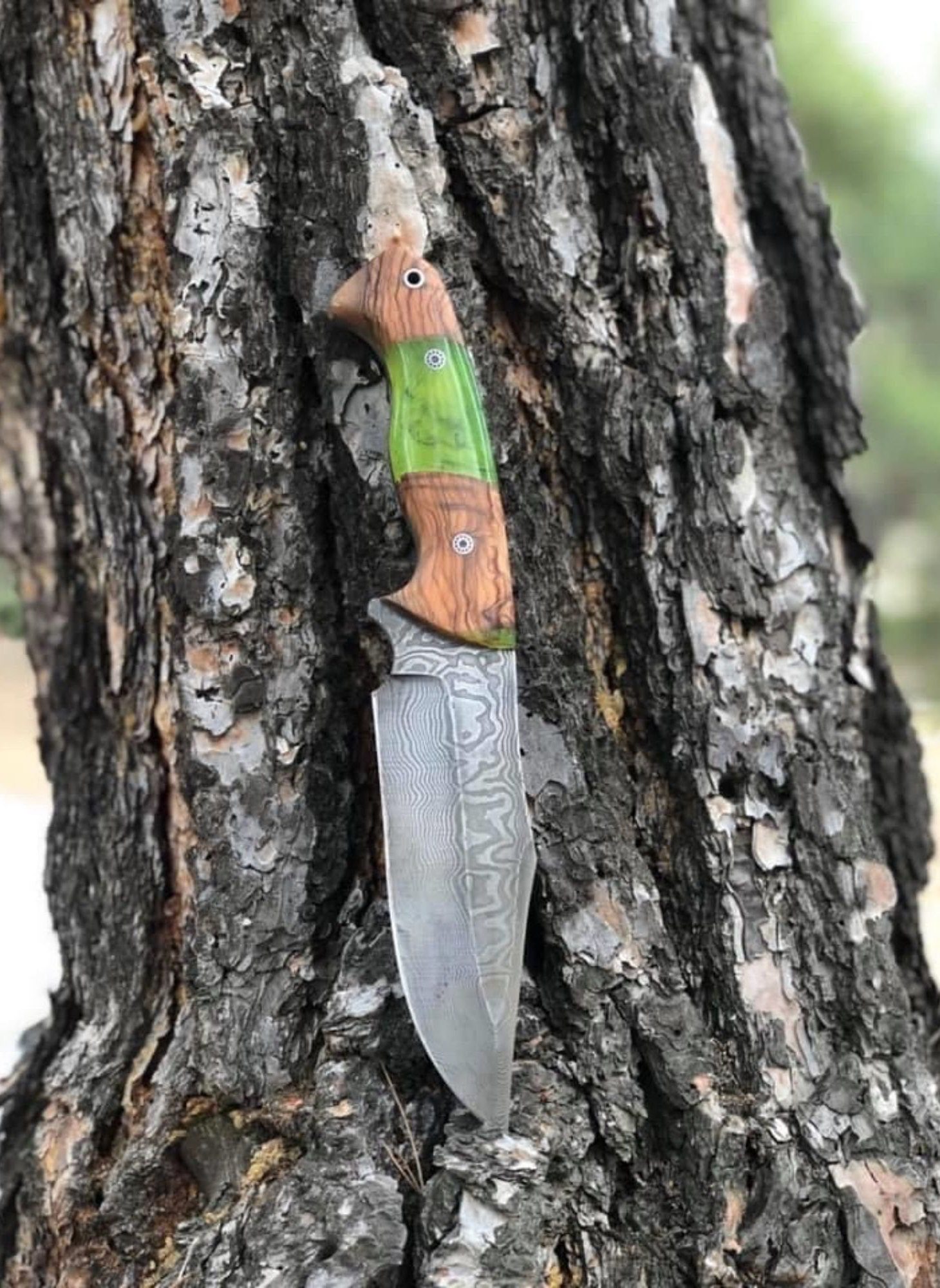 Personalized Knife Epoxy and Padauk Wood Handle, Natural Handmade